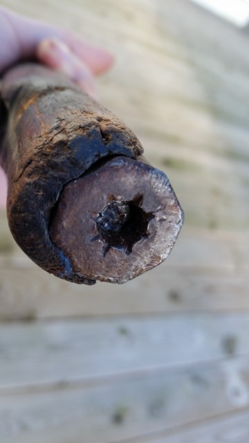 20150306_161332 [640x480]